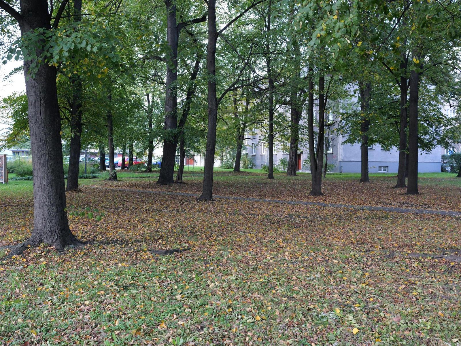 Panasonic Leica DG Vario-Elmarit 12-35mm / F2.8 ASPH. / Power O.I.S