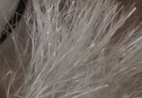 Sony SLT-A58: silný základ