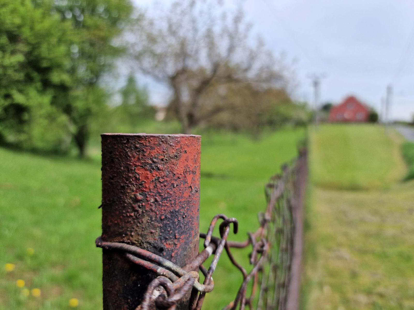 Samsung Galaxy S22 Ultra: pětioký fotografický král?