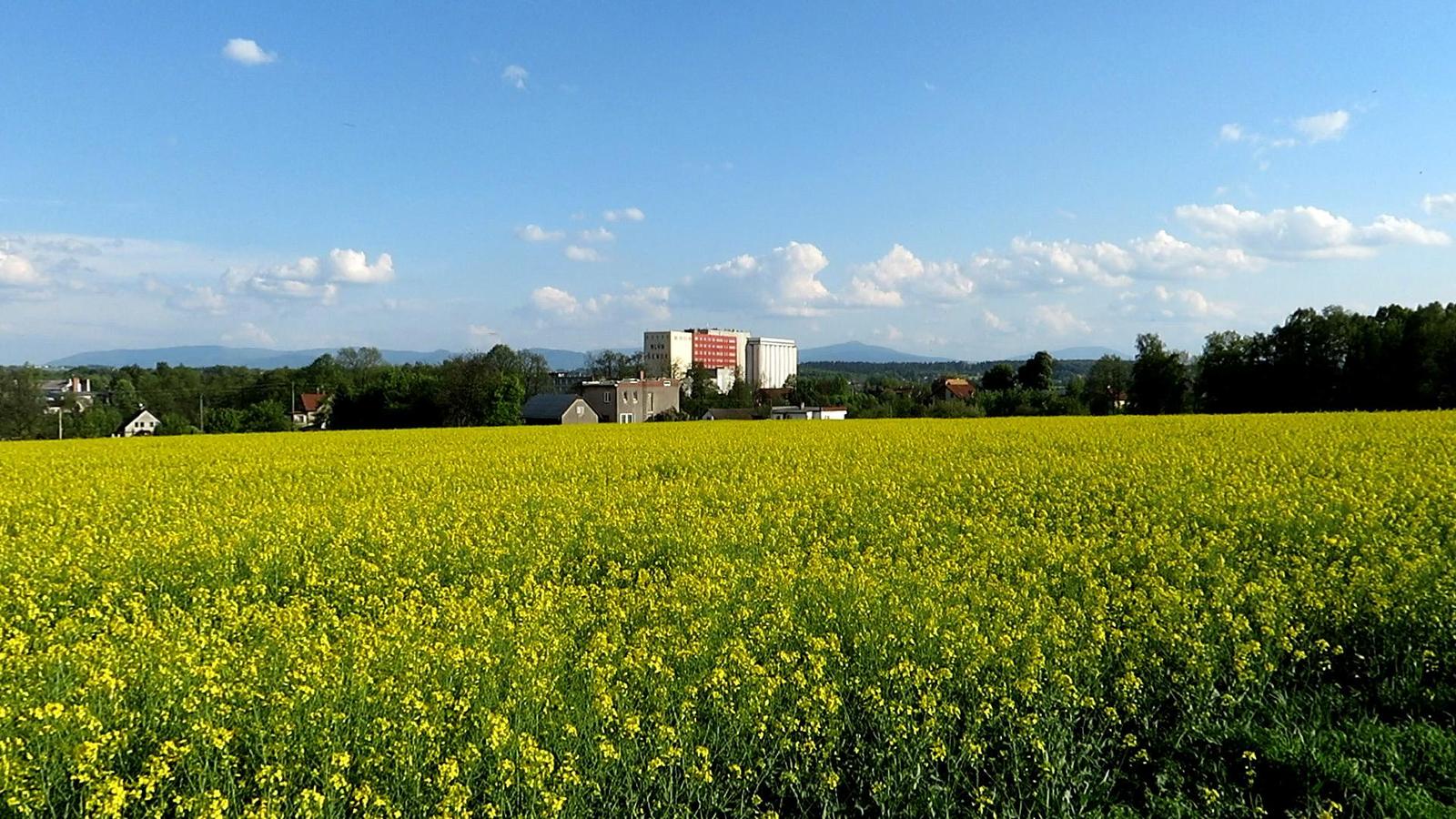 Canon PowerShot SX720 HS: kapesní šmírování