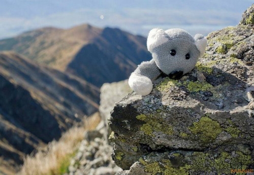 Fotíme s Koalou: Hloubka ostrosti