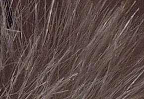 Olympus PEN E-P3: král všech PENů