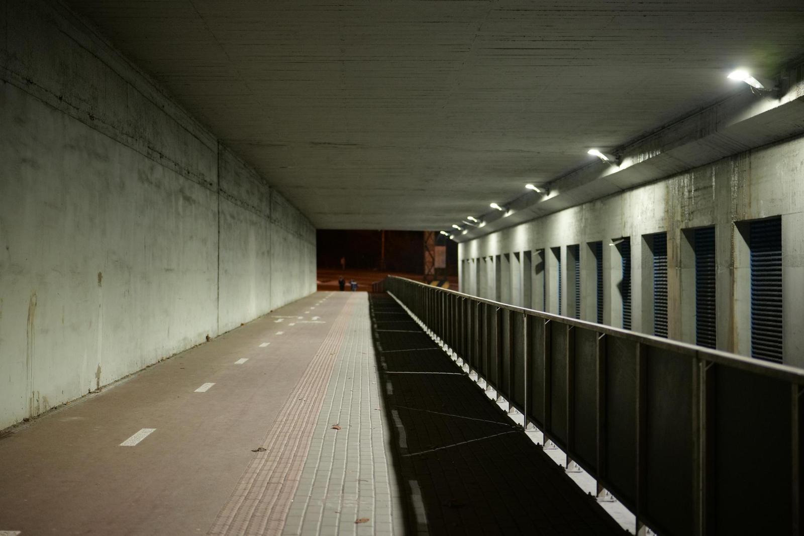 Panasonic Lumix S 50mm F1.8