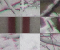 Canon PowerShot SX160 IS: více megapixelů i zoomu