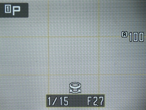 Nikon Coolpix P5100: trpělivý profesionál