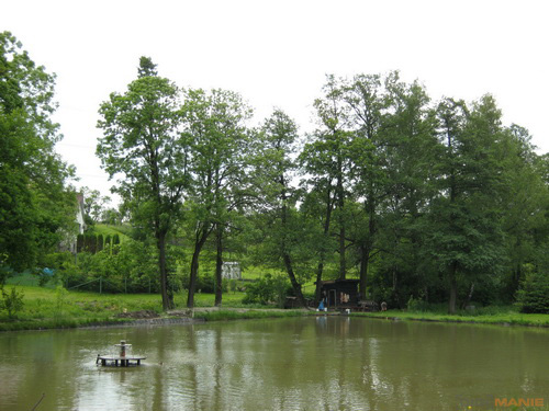 Canon PowerShot A800: šikula za pár stovek