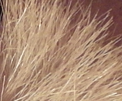 Samsung WB2000: stylová bomba