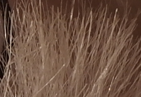 Samsung NX1000: sněhobílý bezdrát