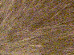 Nikon D3100: základ nabídky DSLR