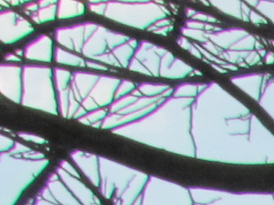 Canon PowerShot SX120 IS: zraje jako víno