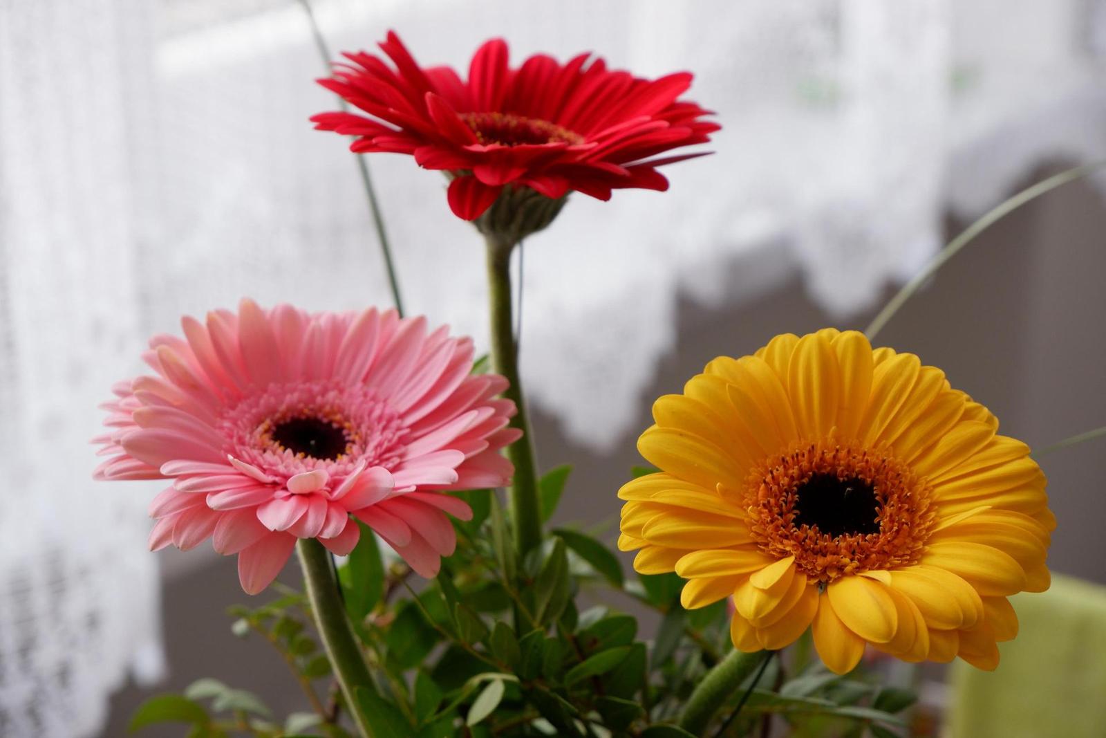 Fujinon XC 15-45mm 1:3.5-5.6 OIS PZ