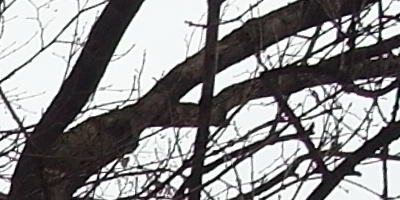 Samsung EX2F: významný krok vpřed