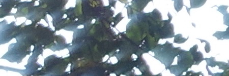 Sony Cyber-shot RX100 III (RX100M3): superSony