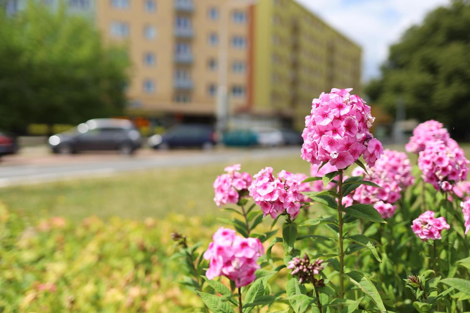 Canon EF 35mm f/2 IS USM