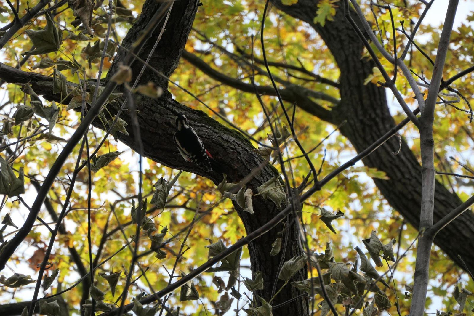 Panasonic Lumix TZ200: kamarád na cesty