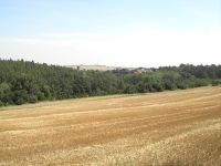 Acer CR-8350: Kompaktních 8 Mega