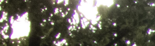 Nikon Coolpix B700: přírodovědec