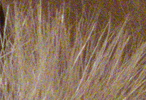 Canon PowerShot G15: lépe už to (asi) nepůjde