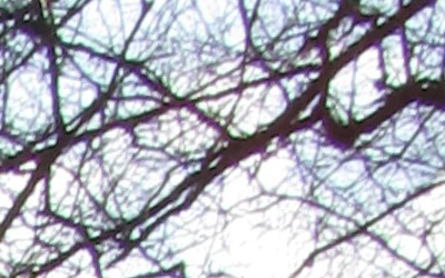 Canon PowerShot SX130 IS: levný všeuměl