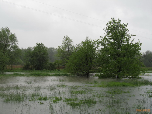 Canon PowerShot SX210 IS: s překvapivou zbraní