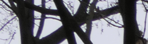 Panasonic Lumix FZ2000: ultrazoom nebo profi kamera?