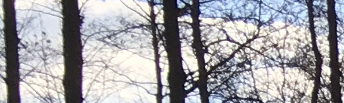 Apple iPhone SE: kompaktní silák