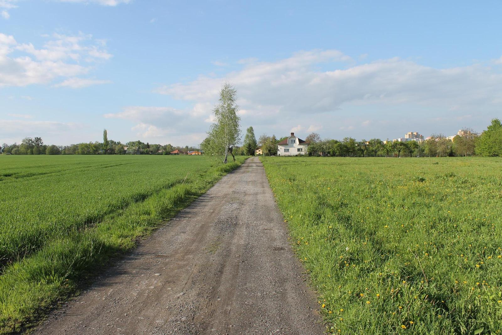 Canon EF-S 18-55mm F3,5-5,6 IS II