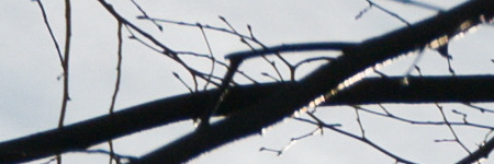 Panasonic Lumix G Vario 35-100mm F4-5.6 MEGA O.I.S.