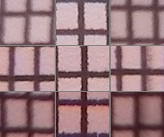 Nikon Coolpix P100: nejrychlejší ultrazoom