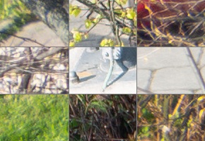 Panasonic Lumix S 24-105mm F4 Macro O.I.S.