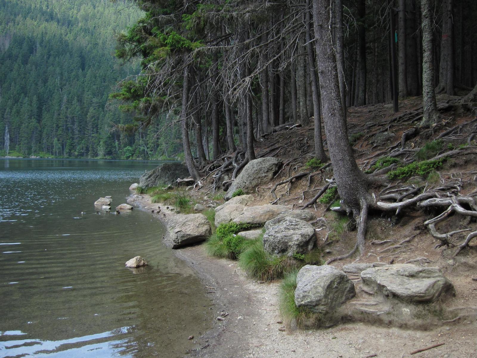 Canon IXUS 300 HS: superstylovka i pro náročné