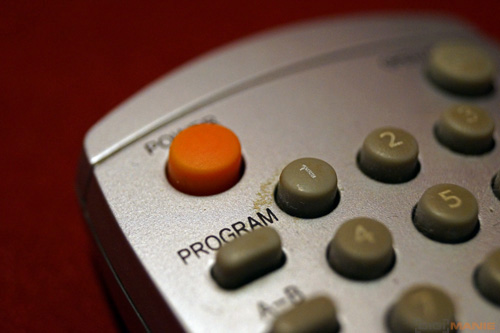 Fotíme s Koalou: Makro a telemakro