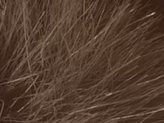 Fujifilm X100: splněný sen