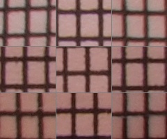 Olympus M.Zuiko Digital 40-150 mm F4-5,6 + nová R verze