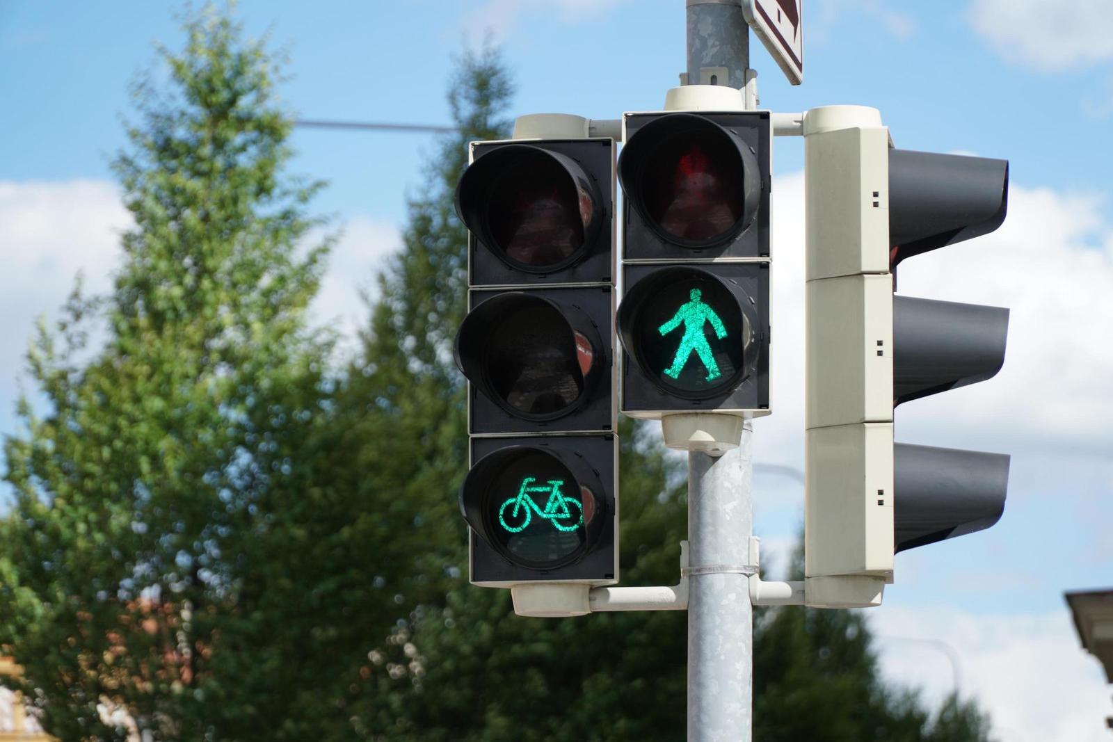 Sony E PZ 18-105mm F4 G OSS (SELP18105G)