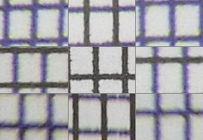 Nikon Coolpix B700: přírodovědec