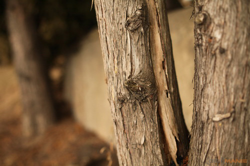 Samyang 35mm F1.4 AS UMC (pro Canon)