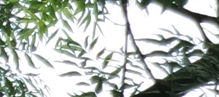 Samsung 16-50mm 1:3.5-5.6 ED OIS Power Zoom