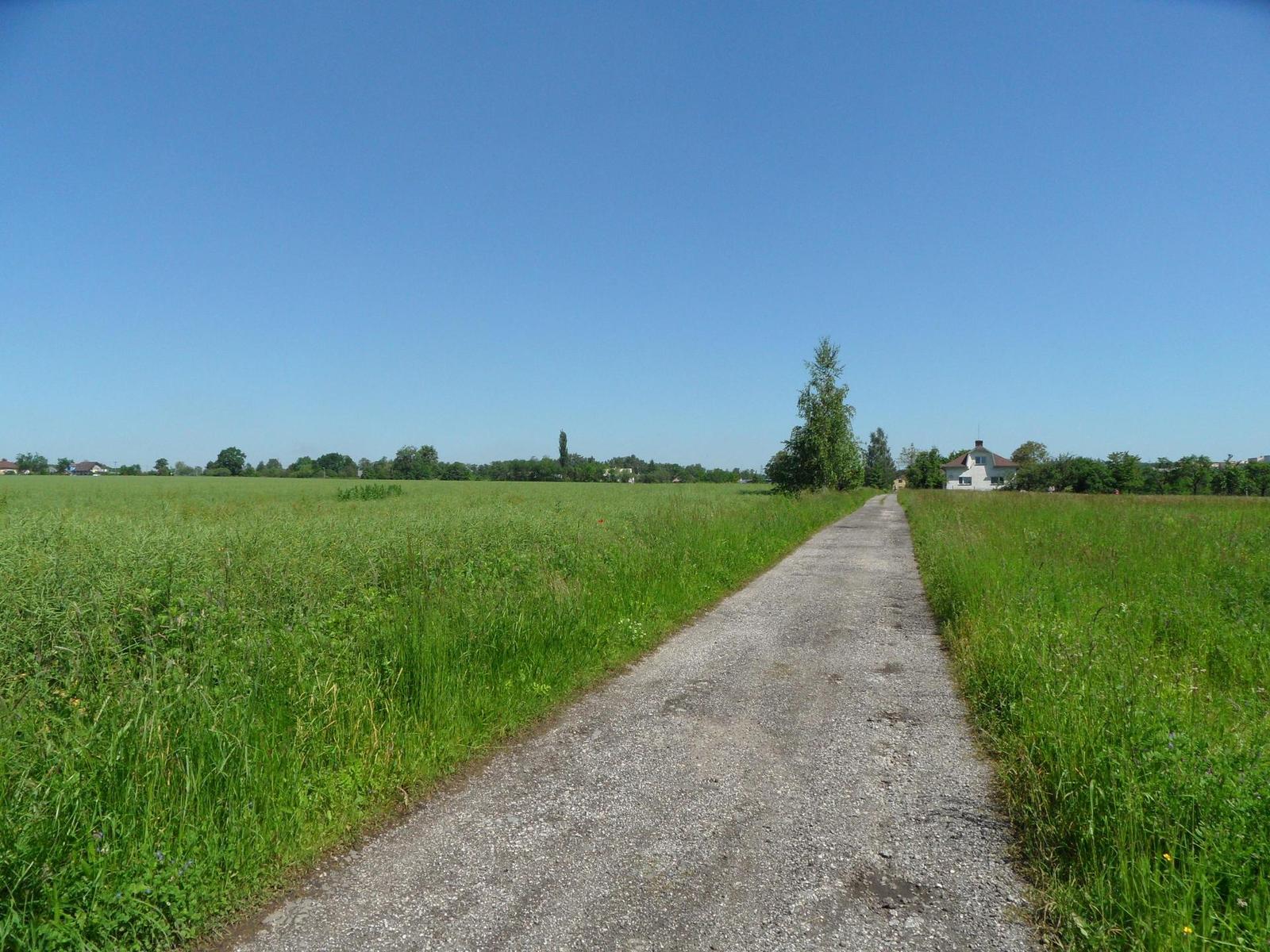 Samsung WB650: povedený cestovatel