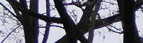 Panasonic Lumix FZ2000: ultrazoom nebo profi kamera?