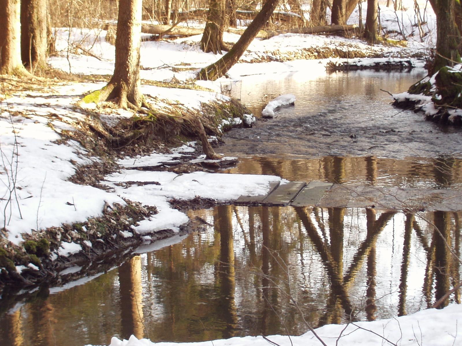 Olympus C-220Z: Fotoaparát s rodokmenem