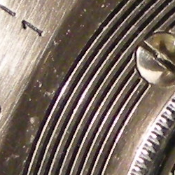 Nikon Coolpix P5100: trpělivý profesionál