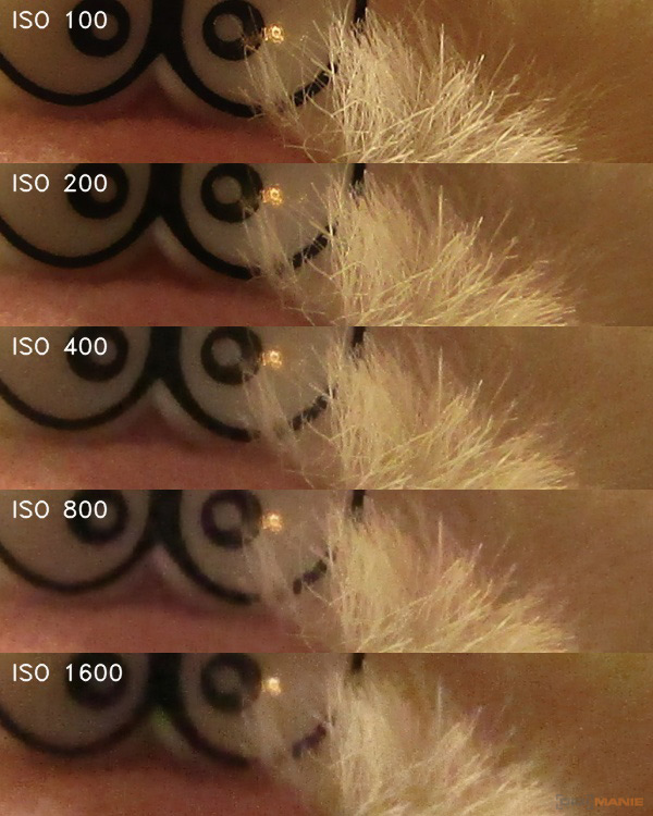 Canon PowerShot SX430 IS: milovník přírody