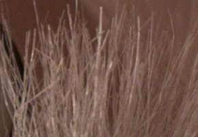 Samsung NX20: za více peněz více muziky