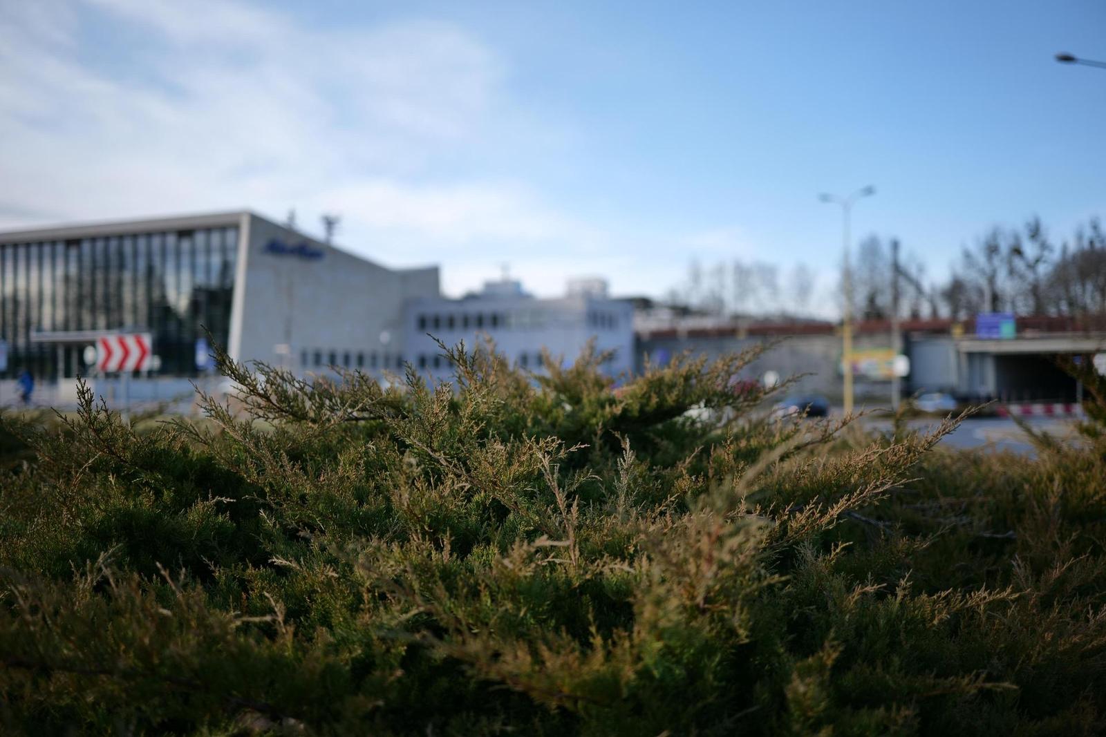 Panasonic Lumix S 35mm F1.8