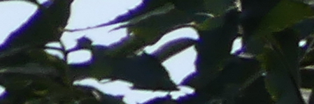 Panasonic Lumix FZ300: opět na špici