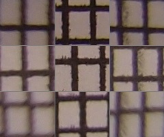 Olympus XZ-1: trefa do černého