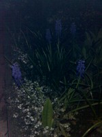 Téma pro tento měsíc - Jak fotí fotomobily, díl I.