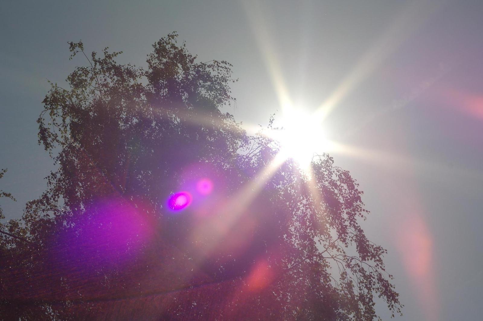 Carl Zeiss Jena DDR Pancolar 1,8/50mm MC electric (M42)