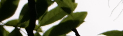 Panasonic Lumix S Pro 70-200mm F4 O.I.S.